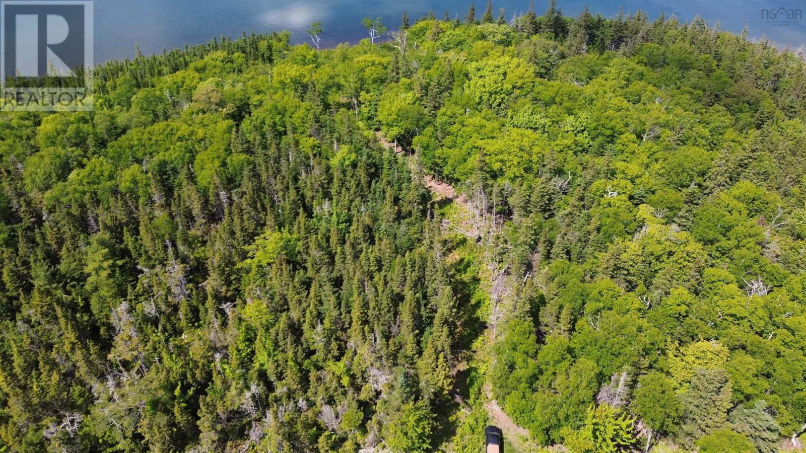 Big Harbour Island, Fiddle Head Road, Big Harbour Island, Nova Scotia  B0E 2Y0 - Photo 6 - 202526866