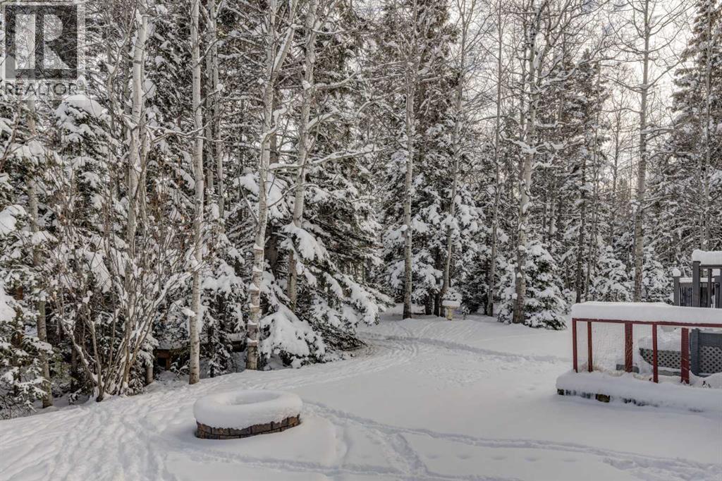 51 Manyhorses Drive, Rural Rocky View County, Alberta  T3Z 1A2 - Photo 45 - A2273481