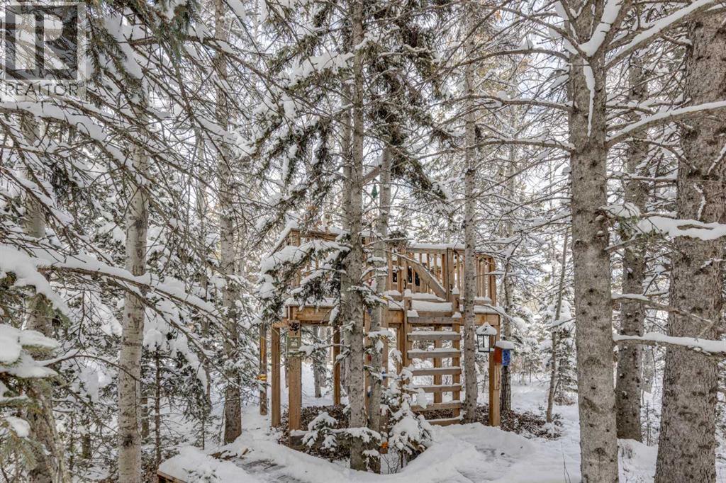 51 Manyhorses Drive, Rural Rocky View County, Alberta  T3Z 1A2 - Photo 41 - A2273481