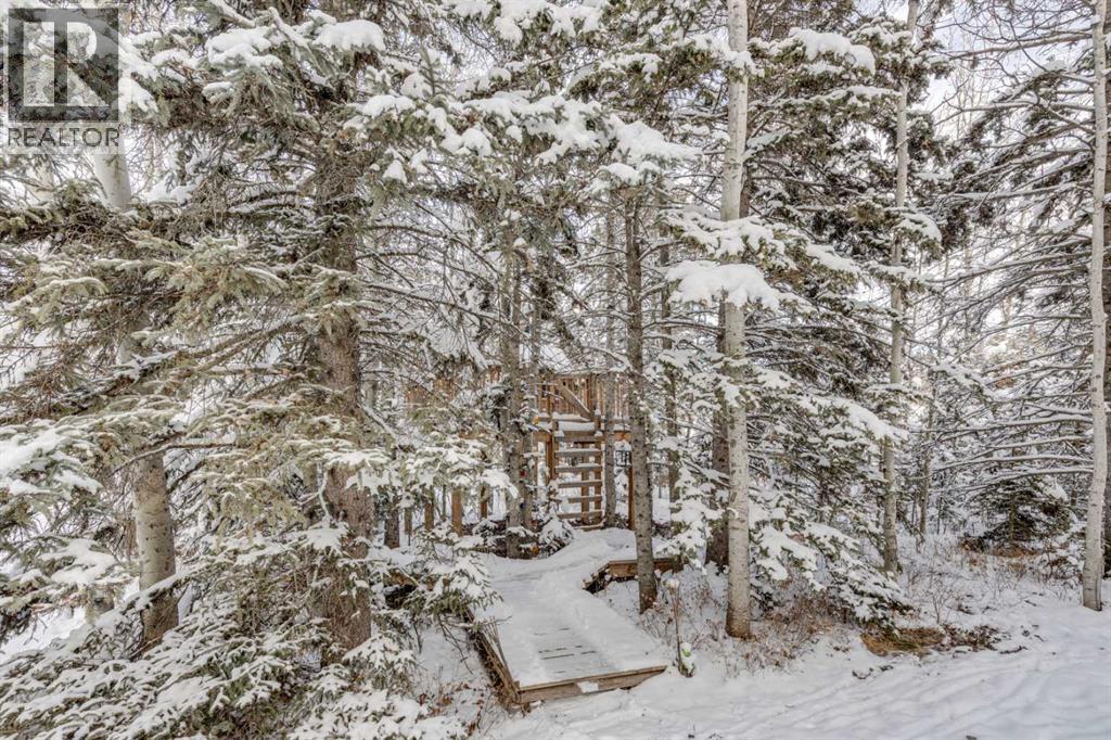 51 Manyhorses Drive, Rural Rocky View County, Alberta  T3Z 1A2 - Photo 40 - A2273481