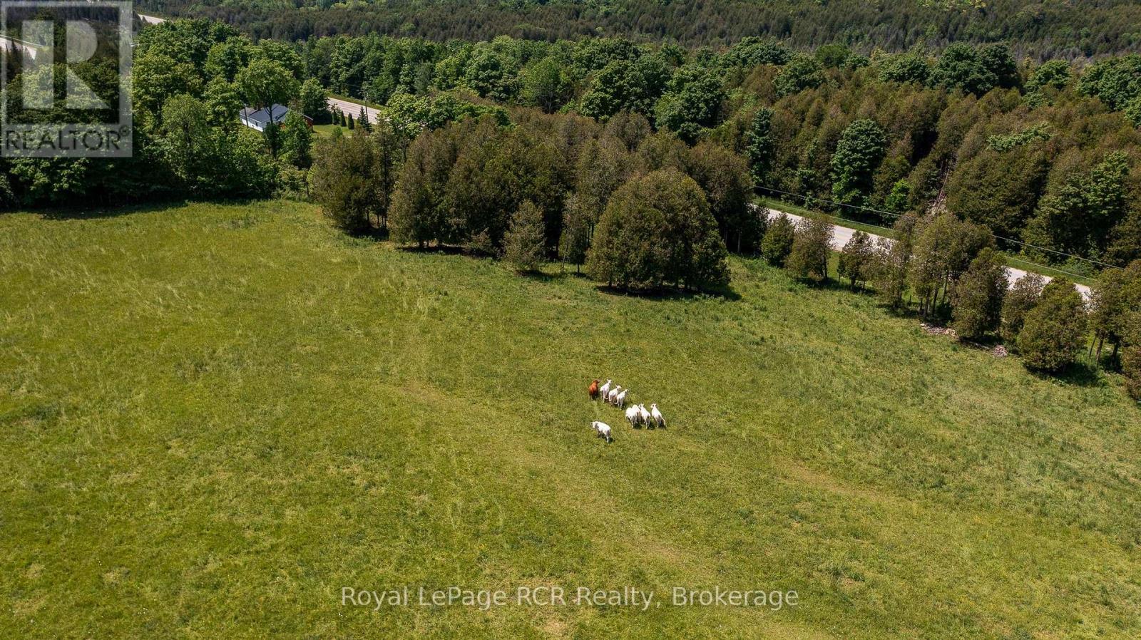 504482 Grey Rd 12, West Grey, Ontario N0C 1H0 - Photo 13 - X12627104
