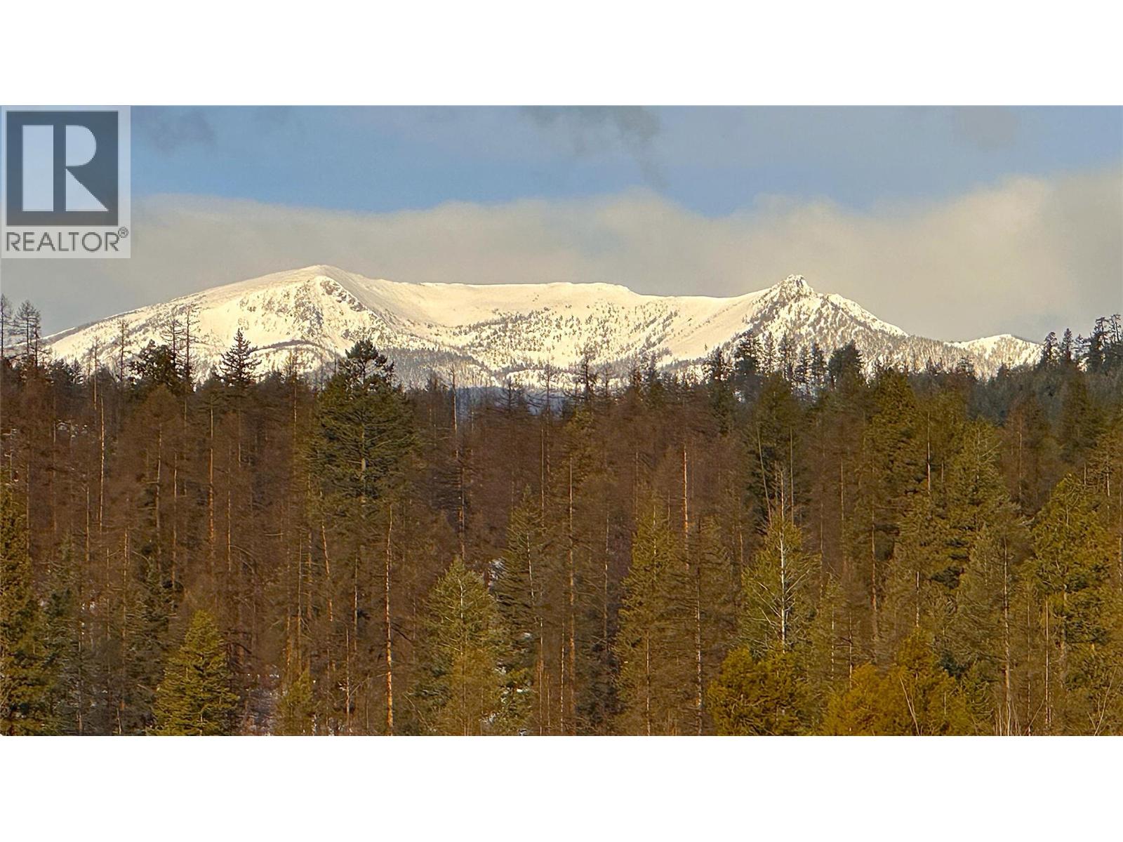 454 Forest Crowne Rise, Kimberley, British Columbia V1A 0A5 - Photo 26 - 10370124