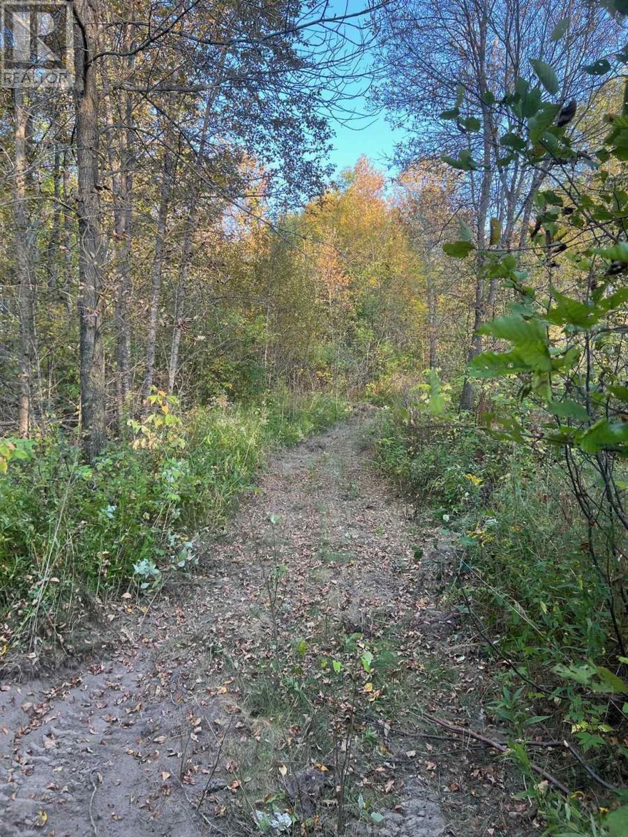 . River Rd, Walford, Ontario P0P 2E0 - Photo 3 - SM253214