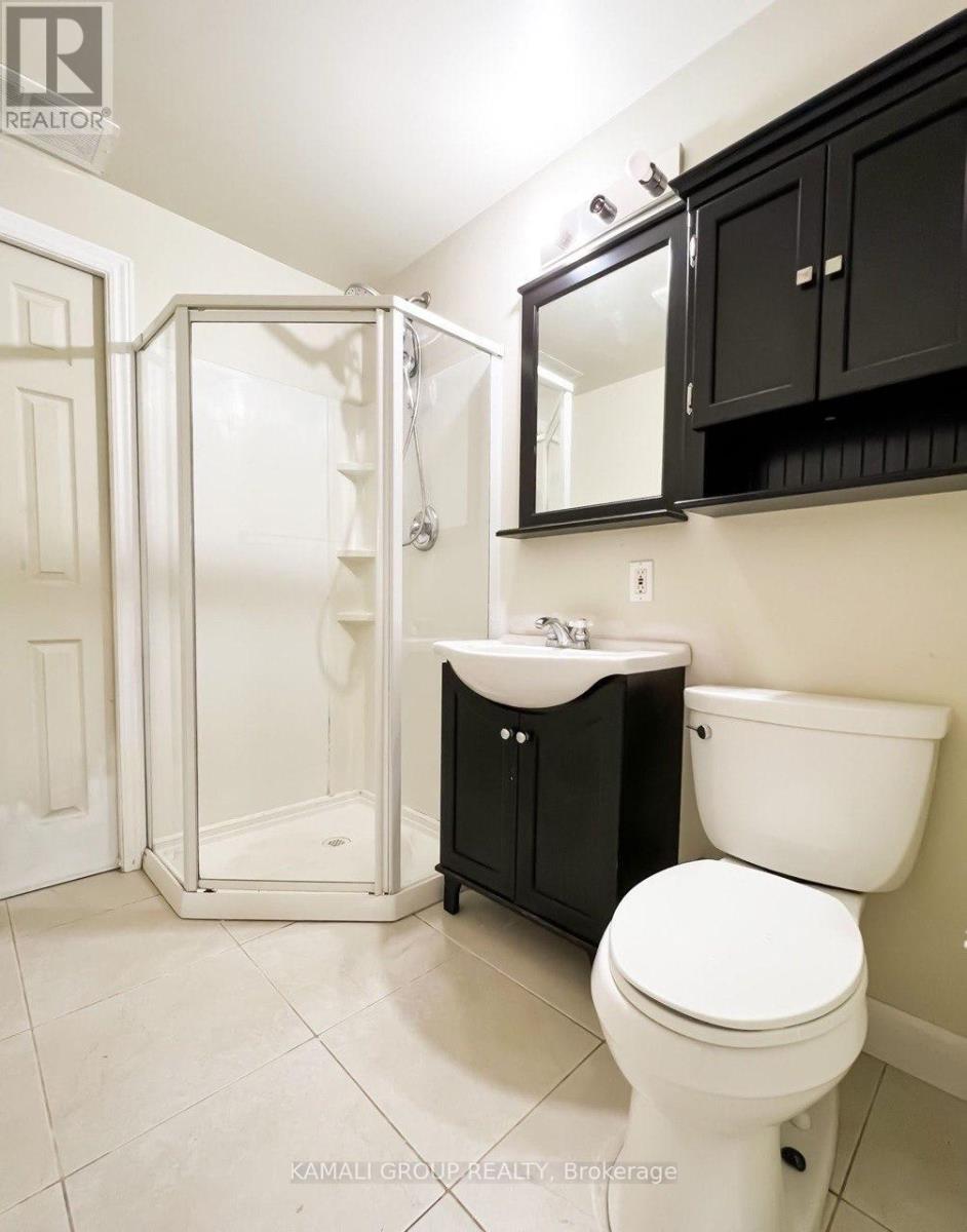 Basement - 313 Bronte Road, Oakville, Ontario  L6L 3C7 - Photo 4 - W12627350