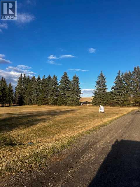228 2 Street S, Huxley, Alberta  T0A 1X0 - Photo 3 - A2219096