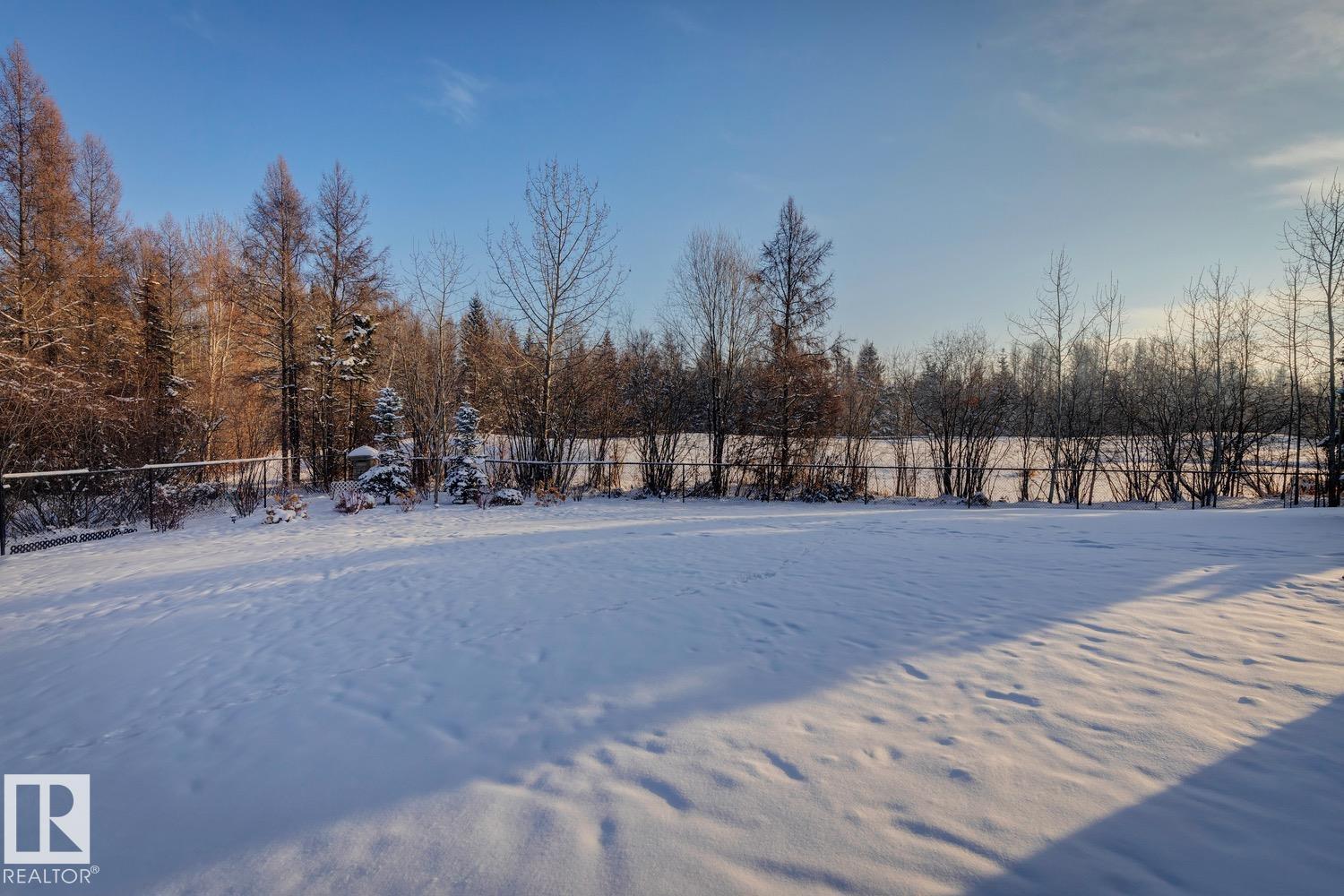 #19 20425 93 Av Nw, Edmonton, Alberta  T5T 7C7 - Photo 5 - E4467933