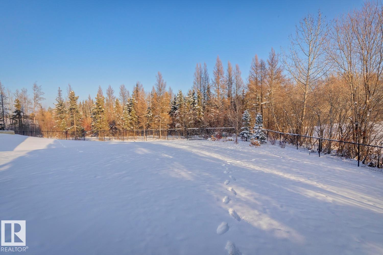 #19 20425 93 Av Nw, Edmonton, Alberta  T5T 7C7 - Photo 62 - E4467933