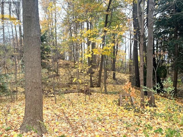 1445 Ryan Place, Mississauga, Ontario  L5C 1J7 - Photo 41 - W12535596