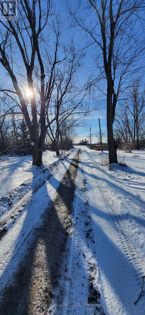 1856 County Road 1 Road, Prince Edward County, Ontario  K0K 1G0 - Photo 5 - X12617054