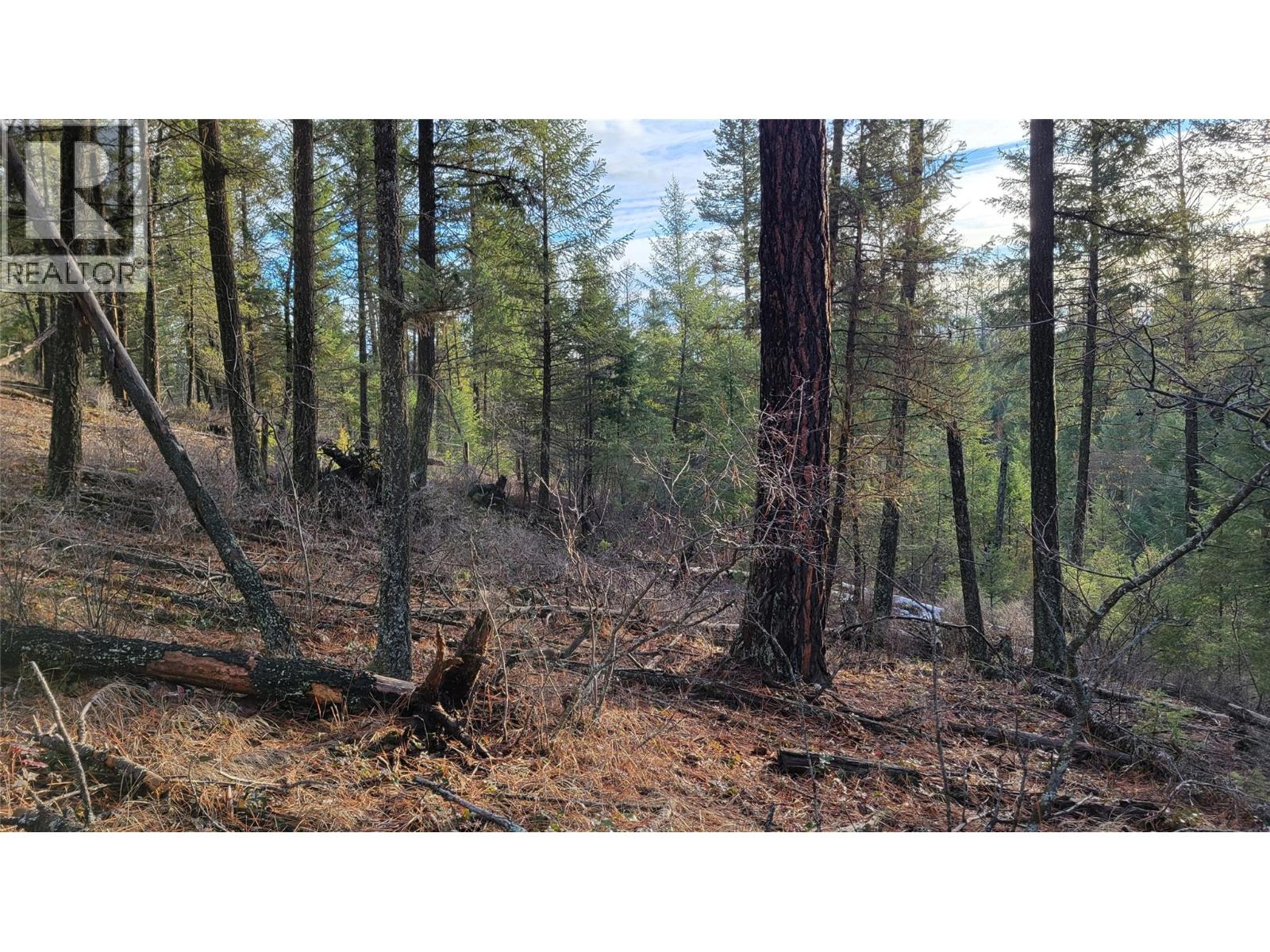 Rosen Heights Road Lot# 7, Jaffray, British Columbia V0B 1T0 - Photo 7 - 10370907