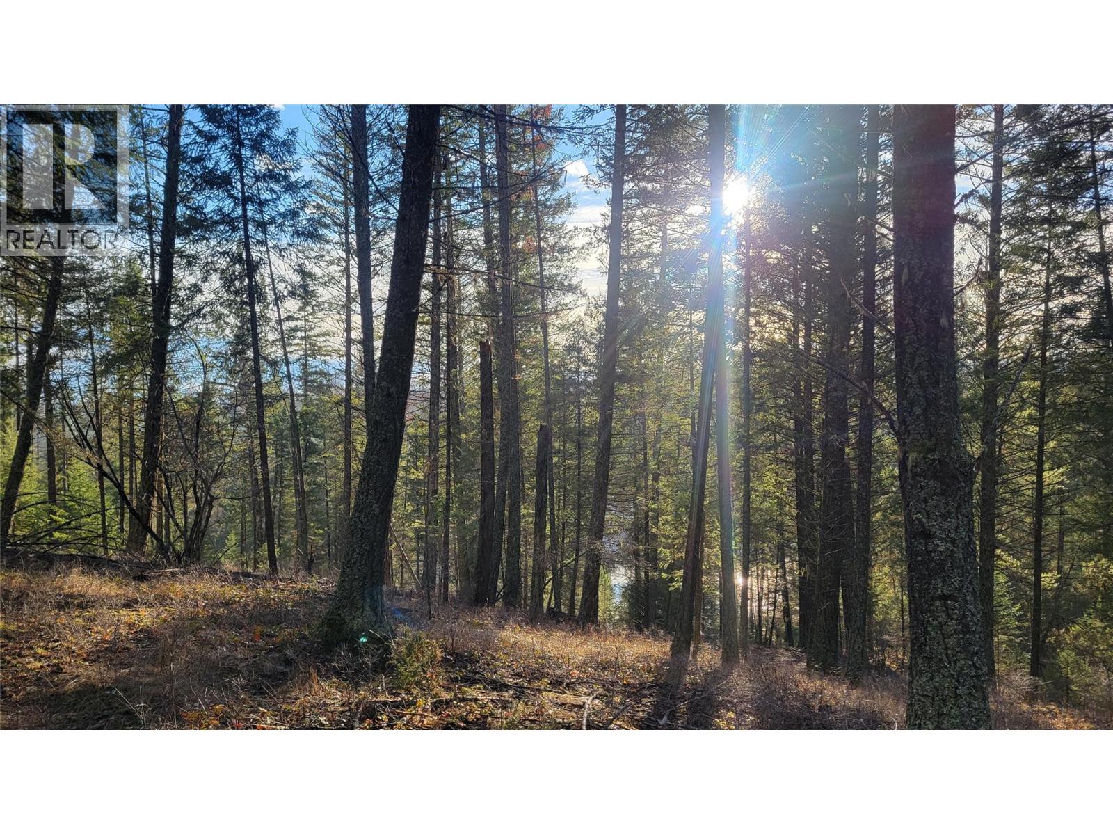 Rosen Heights Road Lot# 7, Jaffray, British Columbia V0B 1T0 - Photo 8 - 10370907