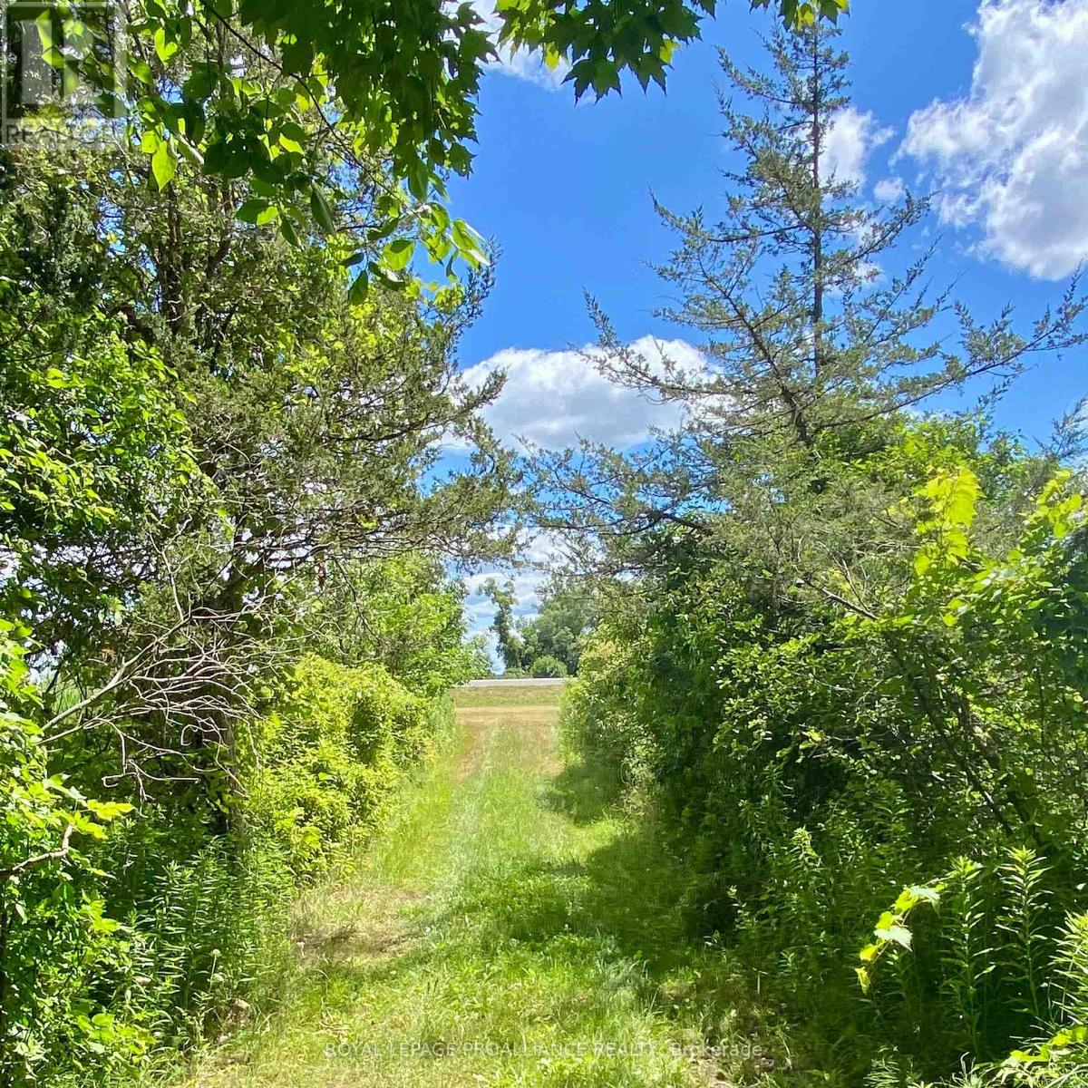 1166 Thousand Islands Parkway, Front Of Yonge, Ontario K0E 1R0 - Photo 6 - X12299599