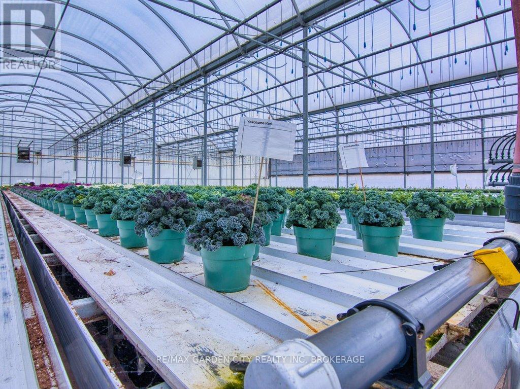 430 Concession 7 Road, Niagara-On-The-Lake, Ontario  L0S 1S0 - Photo 9 - X12627744