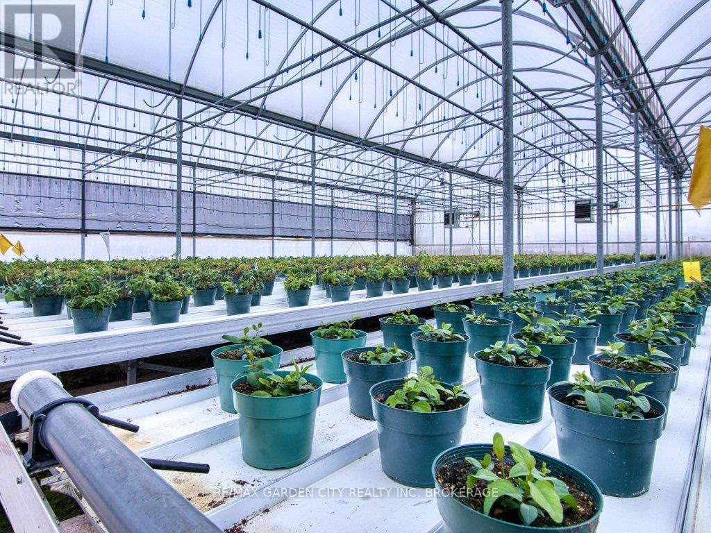 430 Concession 7 Road, Niagara-On-The-Lake (Rural), Ontario  L0S 1S0 - Photo 29 - X12627780