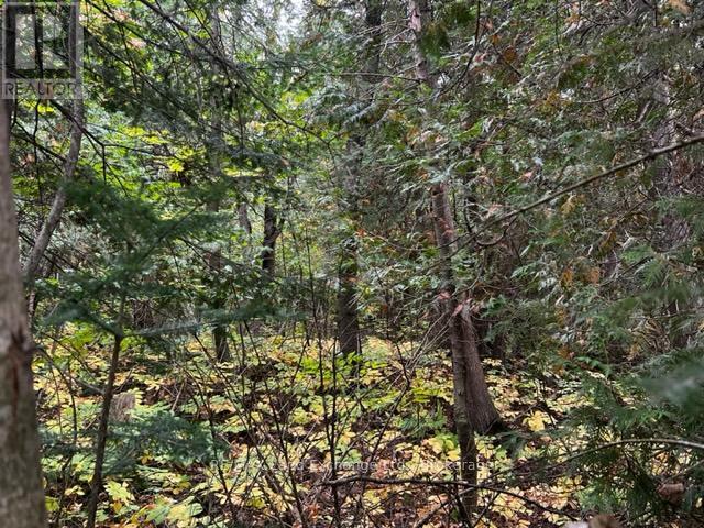 7 SHORE ROAD, Saugeen Shores, Ontario