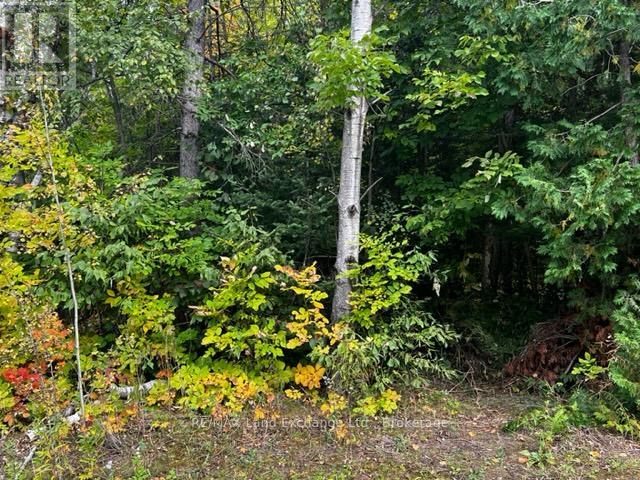 7 Shore Road, Saugeen Shores, Ontario  N0H 2L0 - Photo 2 - X12627808