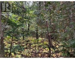 6 SHORE ROAD, Saugeen Shores, Ontario