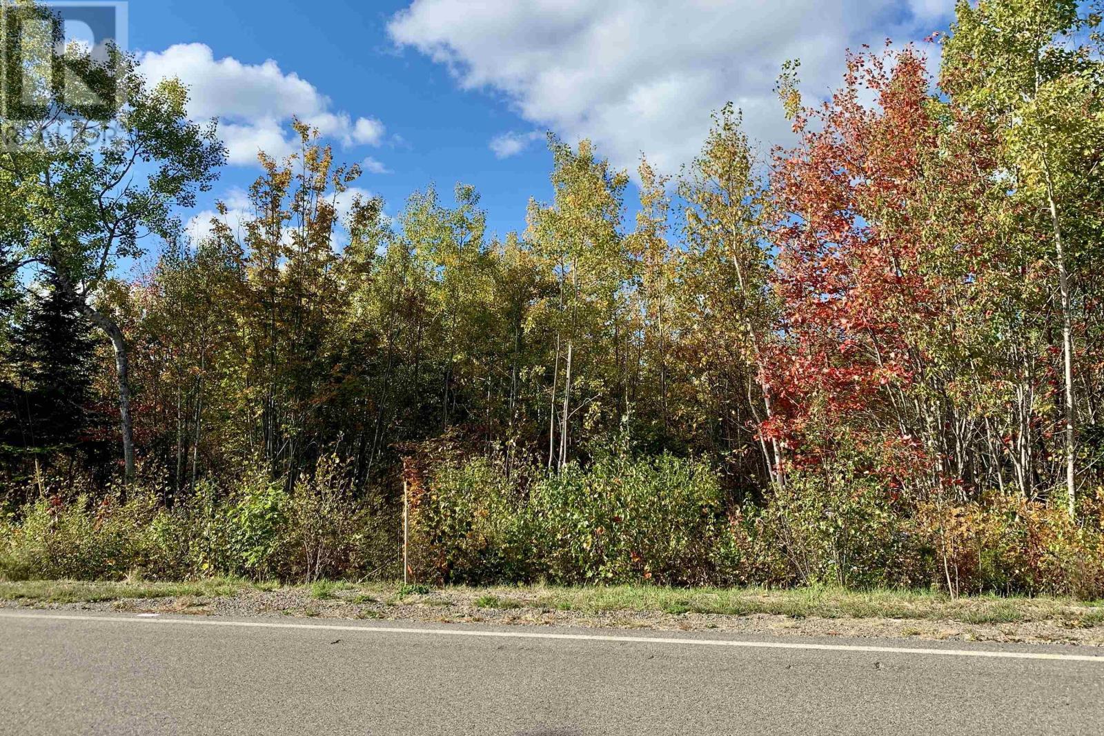 Lot 24-2 Highway 321, Roslin, Nova Scotia  B0K 1K0 - Photo 12 - 202527631