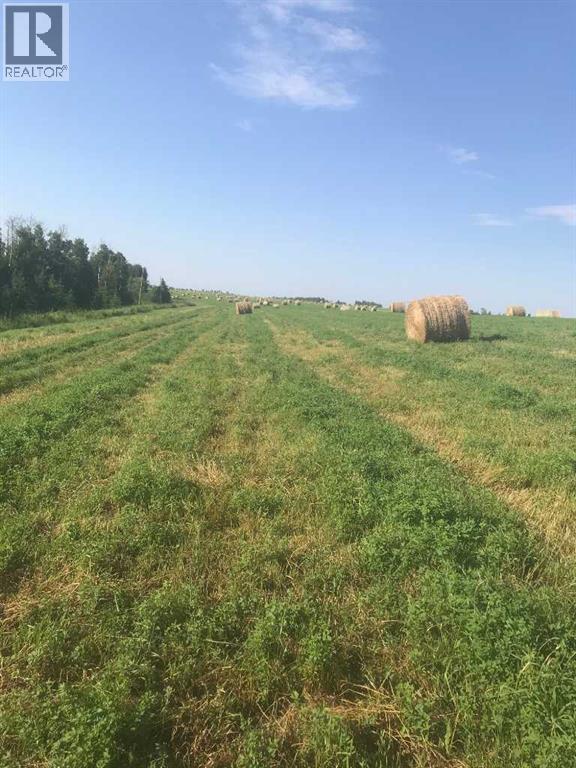 4252 Township Road 322, Rural Mountain View County, Alberta T0M 1X0 - Photo 39 - A2248012