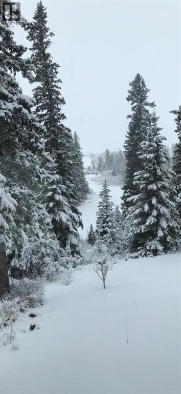 4252 Township Road 322, Rural Mountain View County, Alberta T0M 1X0 - Photo 48 - A2248012