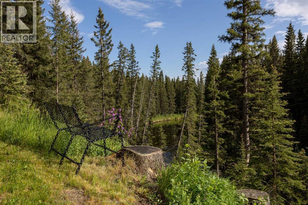 4252 Township Road 322, Rural Mountain View County, Alberta T0M 1X0 - Photo 49 - A2248012