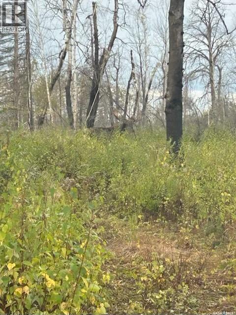 Reaume Hunting Shack, Hudson Bay Rm No. 394, Saskatchewan  S0E 0L0 - Photo 10 - SK025485