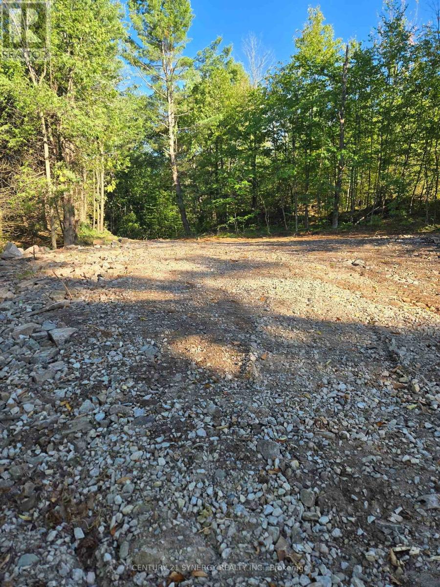 21518 Highway 7 Highway, Tay Valley, Ontario  K0H 2B0 - Photo 12 - X12410556