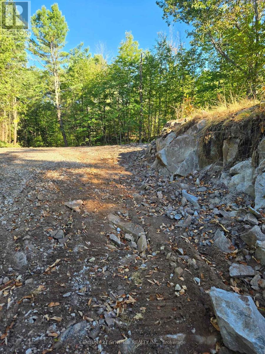 21518 Highway 7 Highway, Tay Valley, Ontario  K0H 2B0 - Photo 13 - X12410556