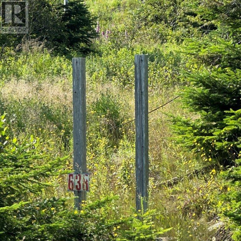 638 Indian Meal Line, Portugal Cove-St. Philips, Newfoundland & Labrador  A1M 3E7 - Photo 10 - 1293238