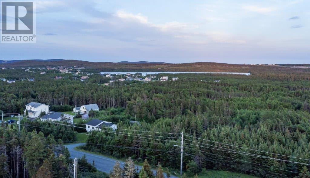 638 Indian Meal Line, Portugal Cove-St. Philips, Newfoundland & Labrador  A1M 3E7 - Photo 4 - 1293238
