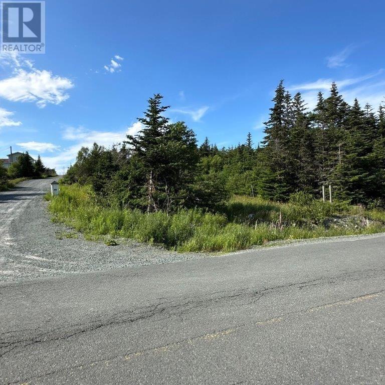 638 Indian Meal Line, Portugal Cove-St. Philips, Newfoundland & Labrador  A1M 3E7 - Photo 7 - 1293238