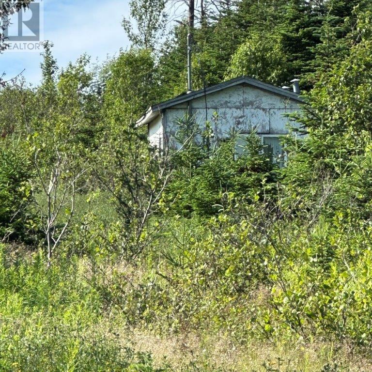 638 Indian Meal Line, Portugal Cove-St. Philips, Newfoundland & Labrador  A1M 3E7 - Photo 9 - 1293238