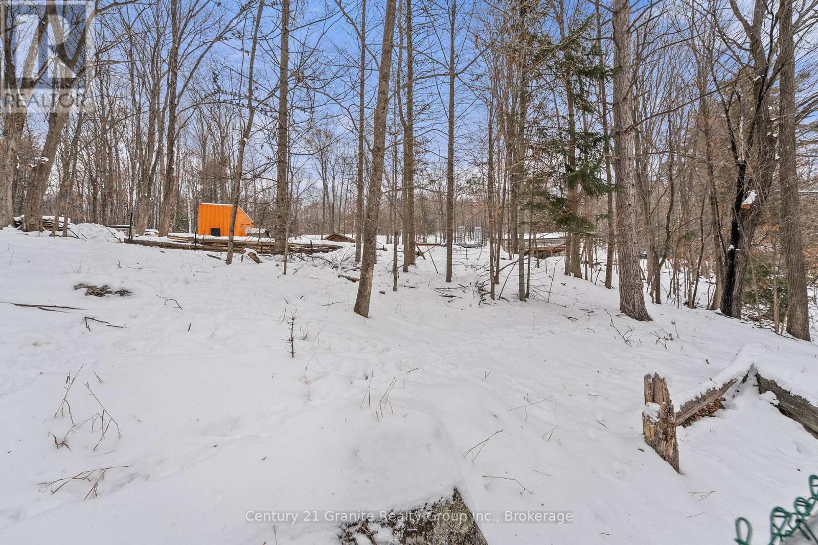 27 Sunnyside Street, Dysart Et Al, Ontario  K0M 1S0 - Photo 35 - X12628028