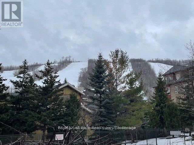 142 - 170 Jozo Weider Boulevard, Blue Mountains, Ontario L9Y 0V2 - Photo 46 - X12628080