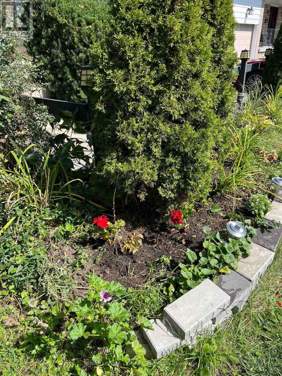 24 Lalton Place, Toronto, Ontario  M1E 1T4 - Photo 40 - E12628098