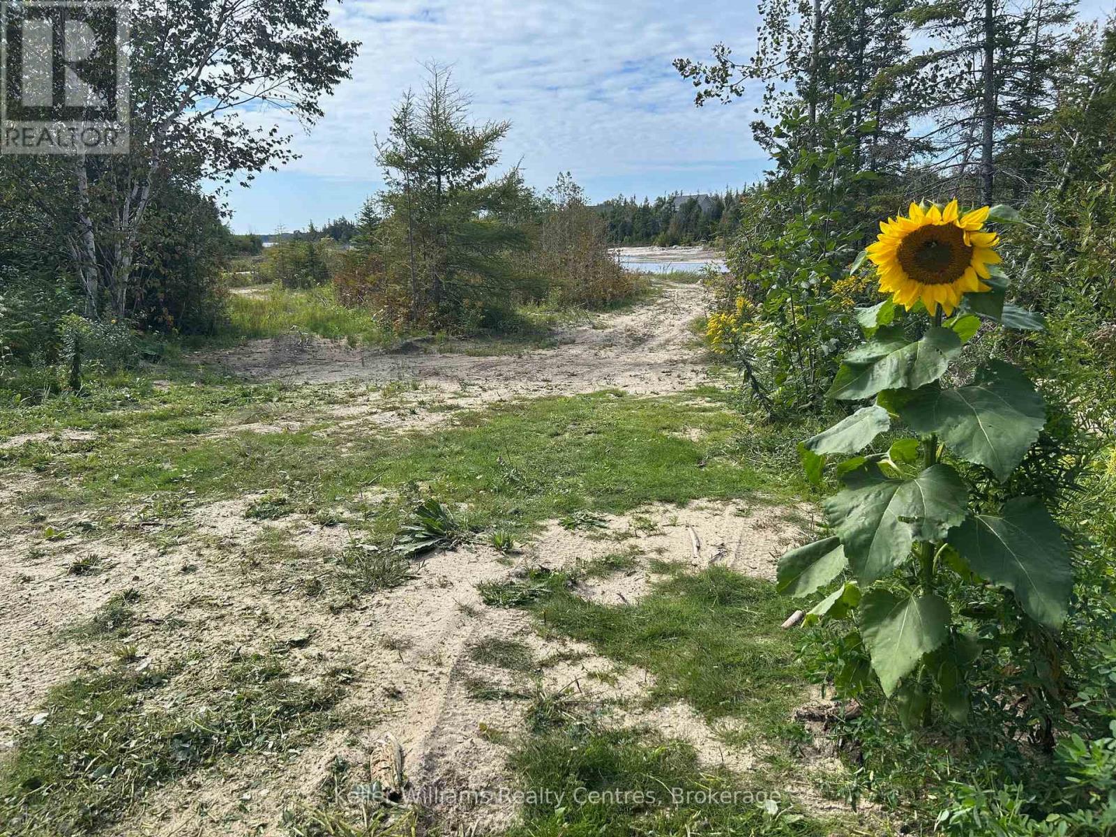 Pt Lt 36 Walter Charman Drive, Northern Bruce Peninsula, Ontario  N0H 2M0 - Photo 11 - X12628256