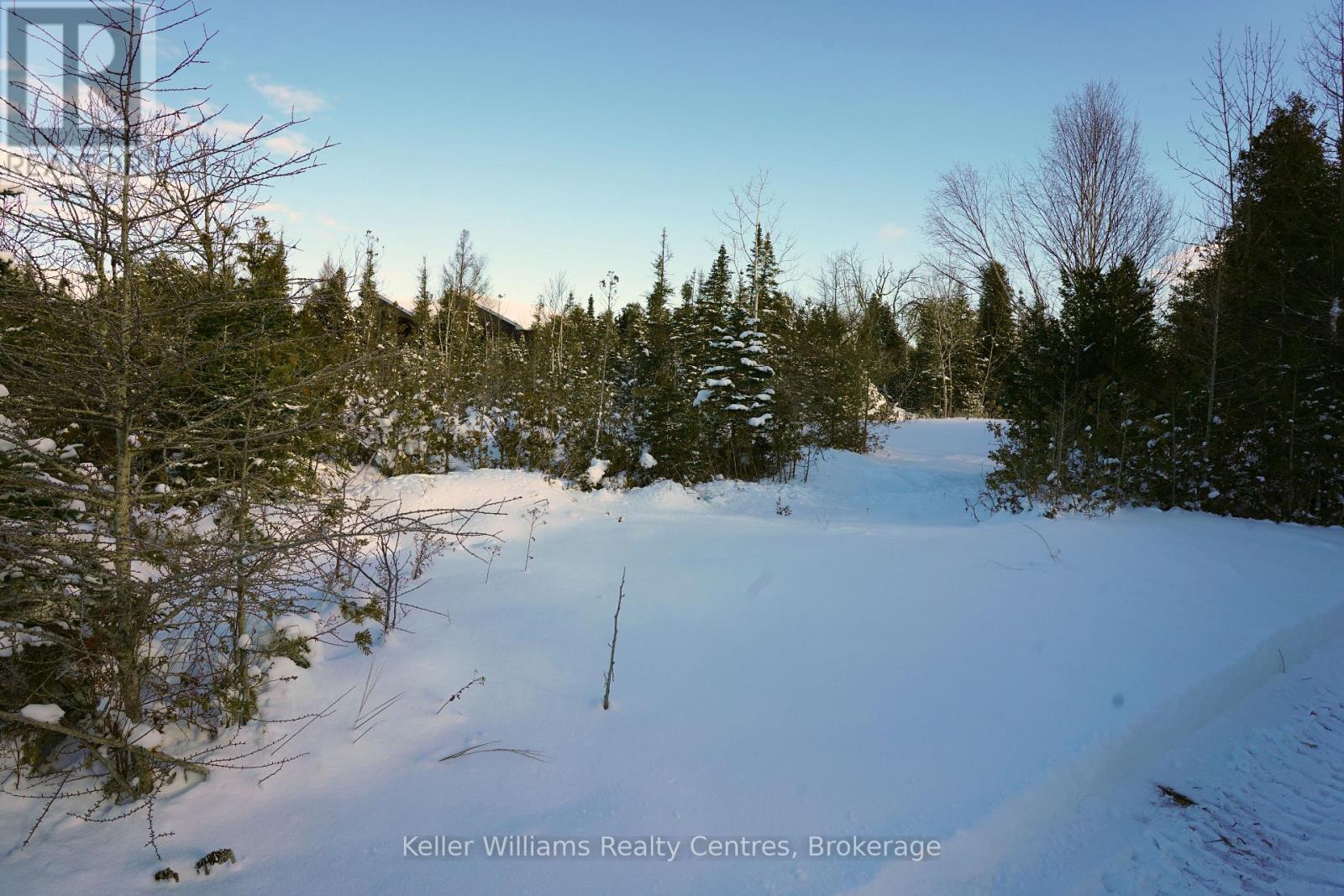Pt Lt 36 Walter Charman Drive, Northern Bruce Peninsula, Ontario  N0H 2M0 - Photo 15 - X12628256