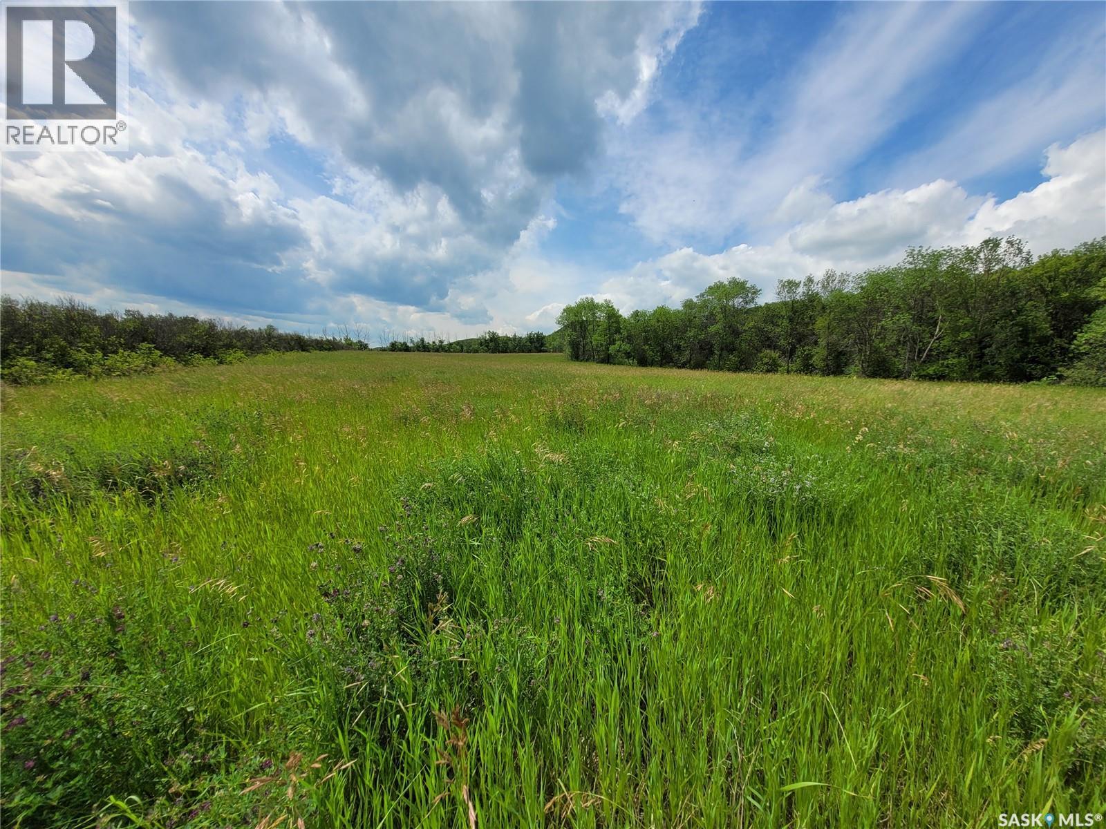 Blk/par 1 Plan #102203019 Lakeview Lot 1, Fertile Belt Rm No. 183, Saskatchewan  S0A 0X0 - Photo 5 - SK025529