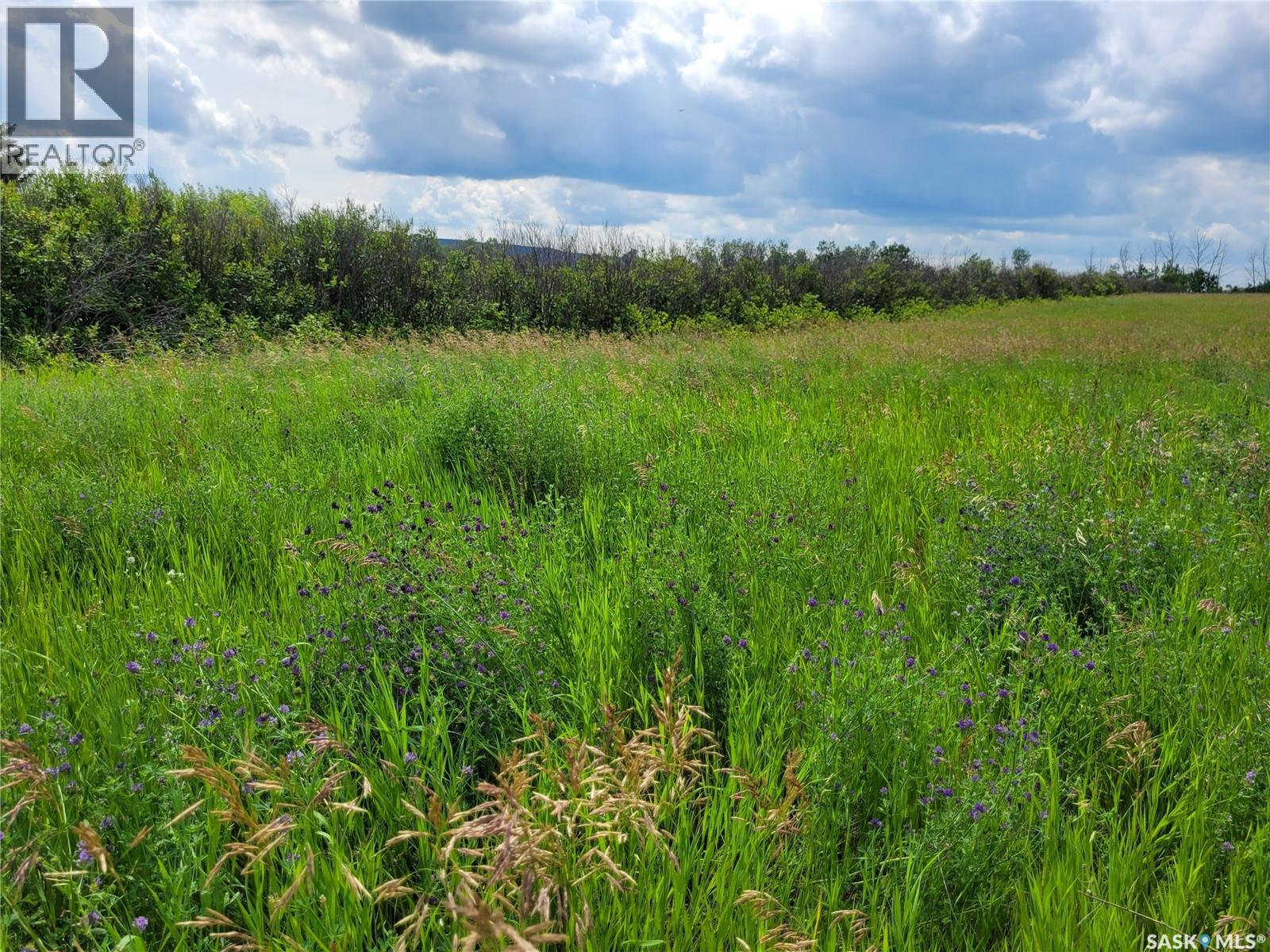 Blk/par 1 Plan #102203019 Lakeview Lot 1, Fertile Belt Rm No. 183, Saskatchewan  S0A 0X0 - Photo 7 - SK025529