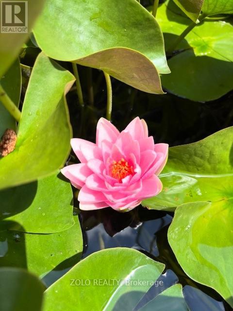 139 Campbell Avenue W, Milton, Ontario  L0P 1B0 - Photo 30 - W12628208