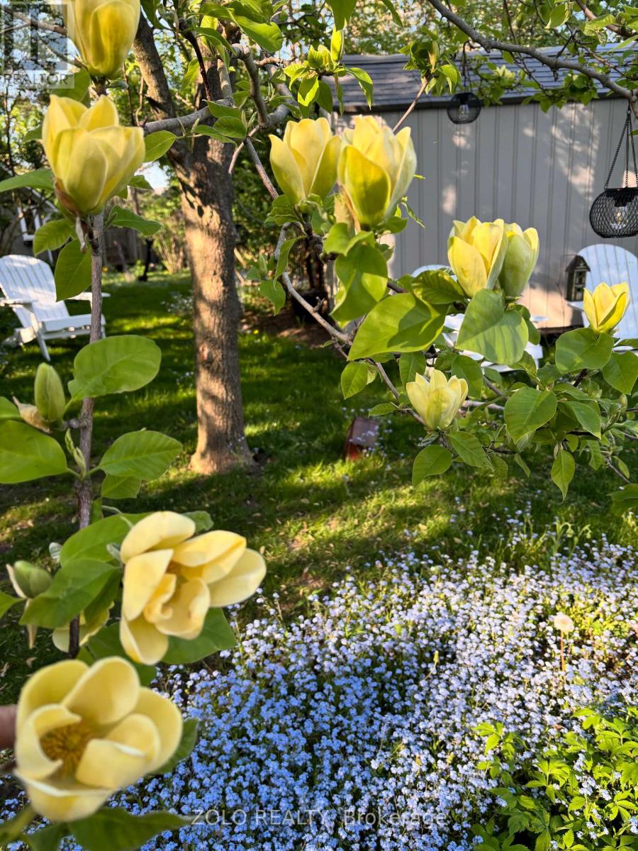 139 Campbell Avenue W, Milton, Ontario  L0P 1B0 - Photo 31 - W12628208