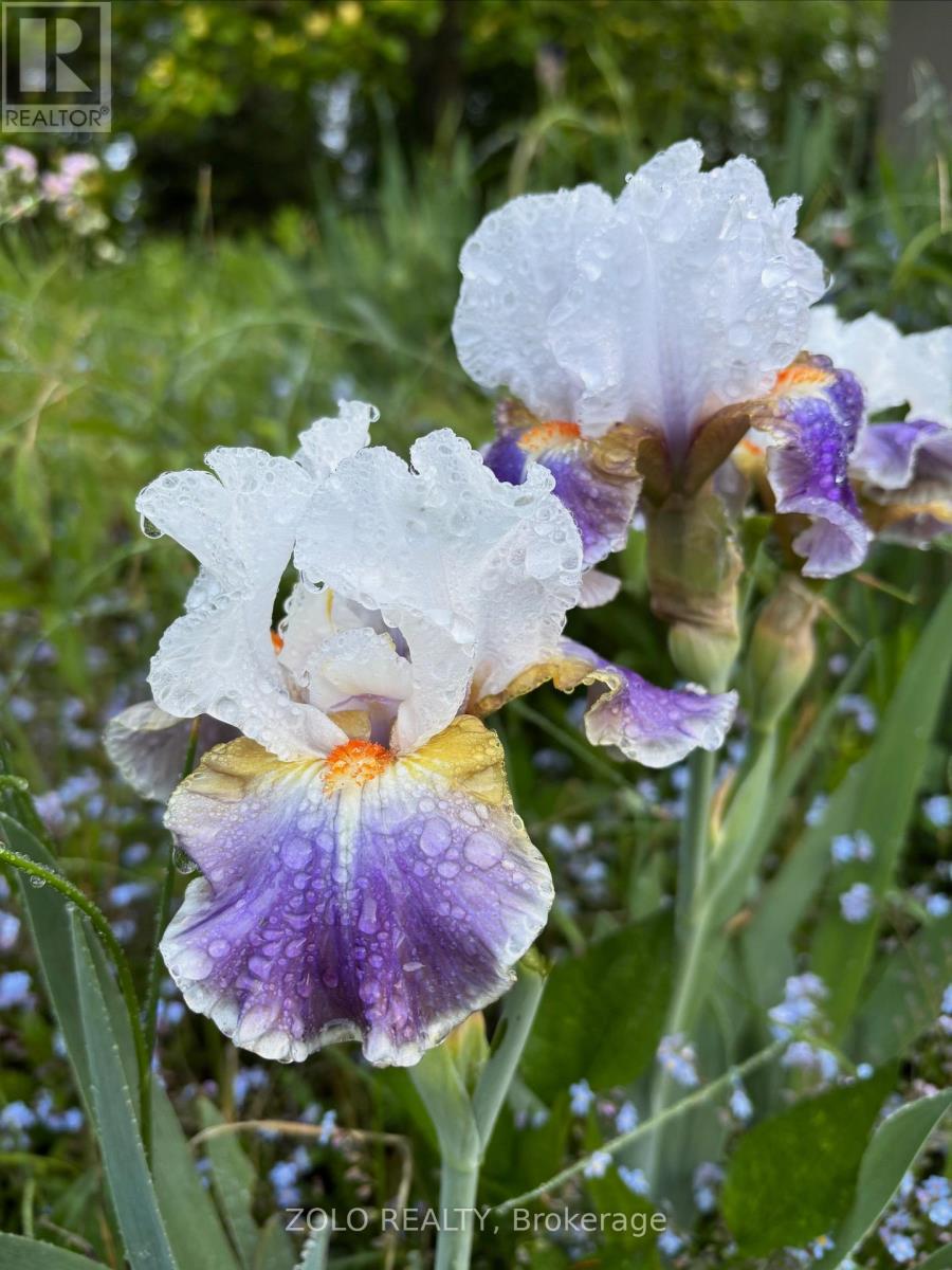 139 Campbell Avenue W, Milton, Ontario  L0P 1B0 - Photo 33 - W12628208