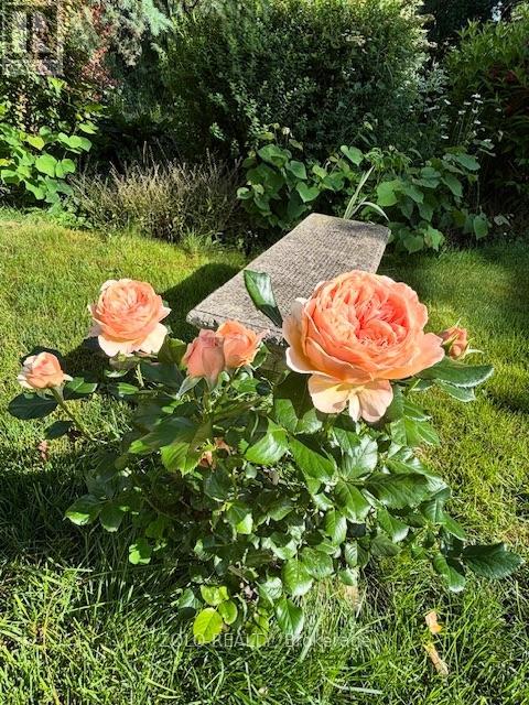 139 Campbell Avenue W, Milton, Ontario  L0P 1B0 - Photo 36 - W12628208