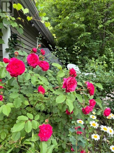 139 Campbell Avenue W, Milton, Ontario  L0P 1B0 - Photo 37 - W12628208