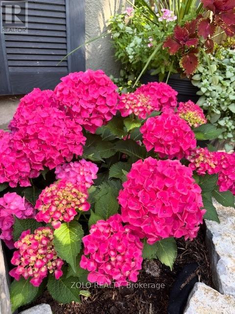 139 Campbell Avenue W, Milton, Ontario  L0P 1B0 - Photo 38 - W12628208