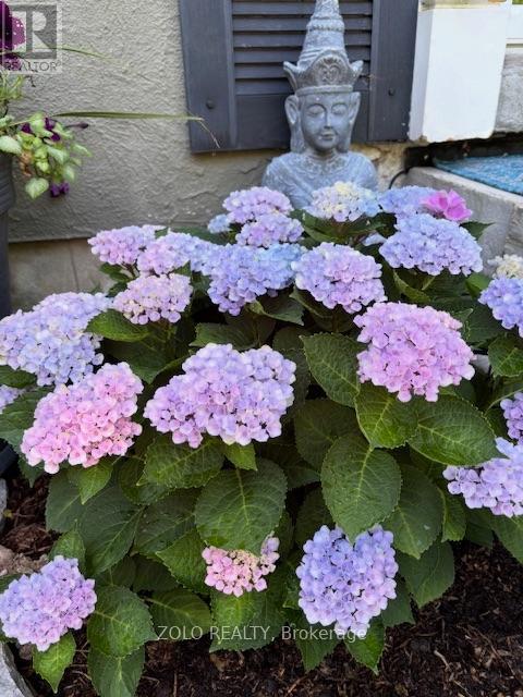 139 Campbell Avenue W, Milton, Ontario  L0P 1B0 - Photo 39 - W12628208