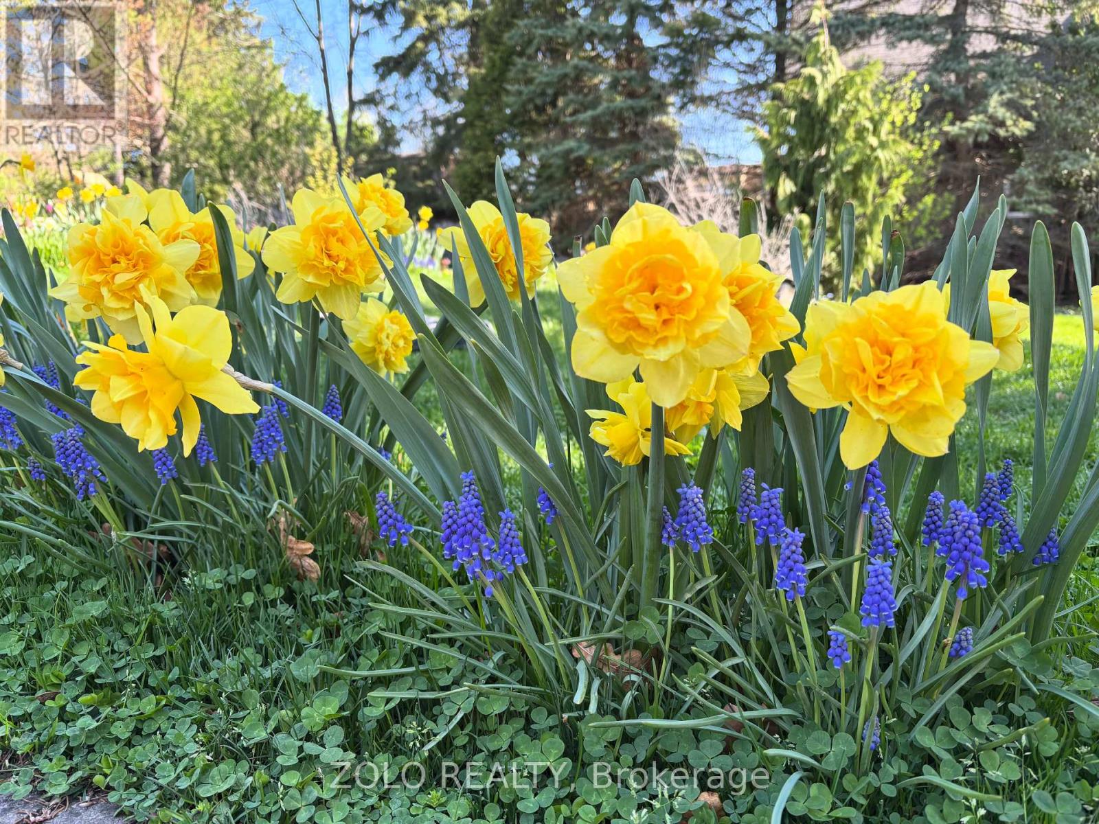 139 Campbell Avenue W, Milton, Ontario  L0P 1B0 - Photo 41 - W12628208