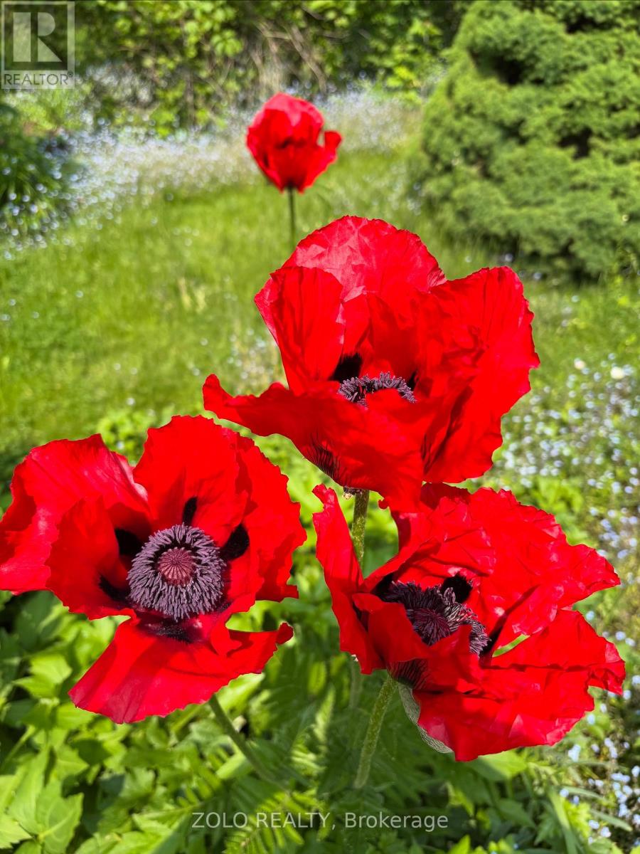 139 Campbell Avenue W, Milton, Ontario  L0P 1B0 - Photo 43 - W12628208