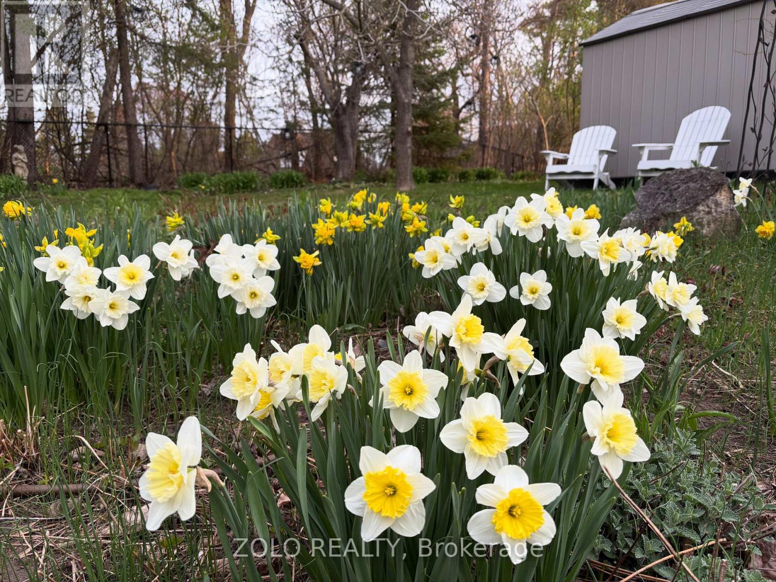 139 Campbell Avenue W, Milton, Ontario  L0P 1B0 - Photo 47 - W12628208