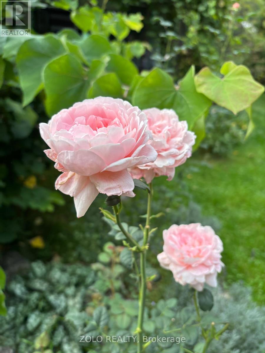 139 Campbell Avenue W, Milton, Ontario  L0P 1B0 - Photo 48 - W12628208